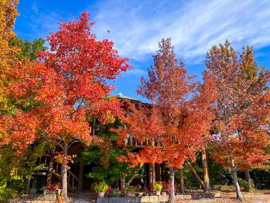 郊外レストラン