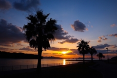 遊歩道からの眺め