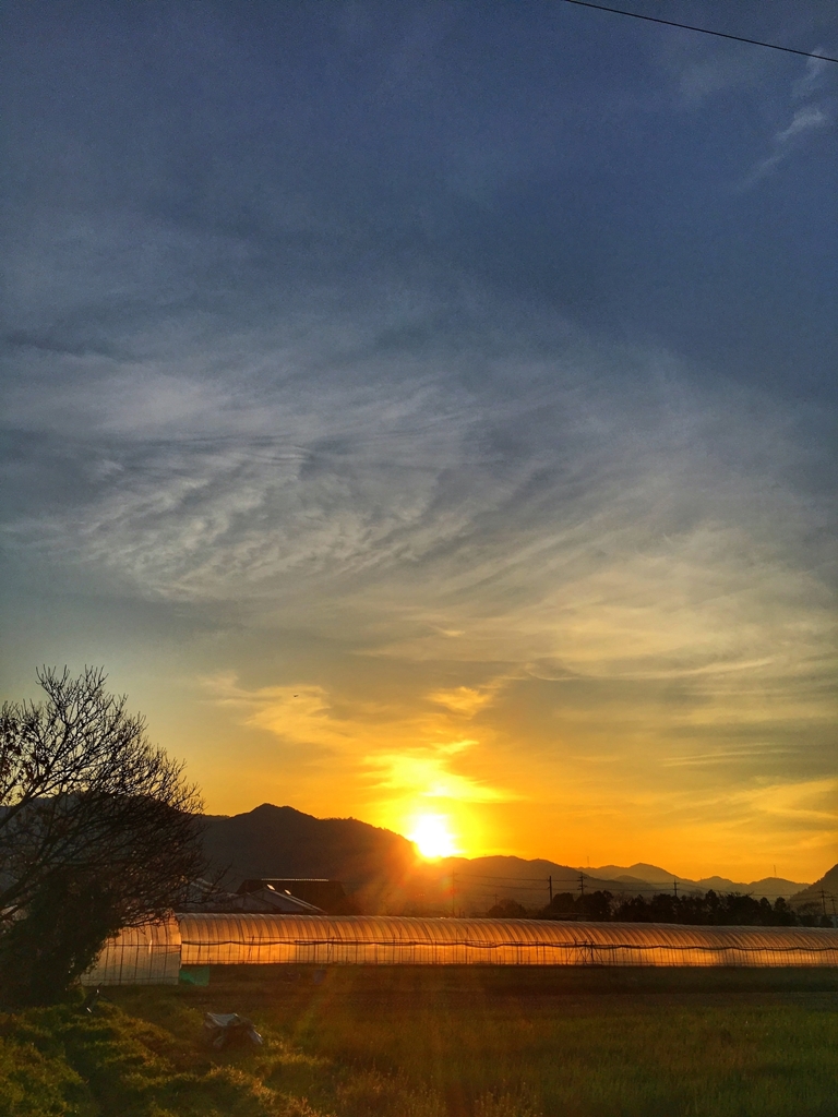 いつもの朝：少し移動