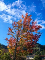 天高く馬肥ゆる秋