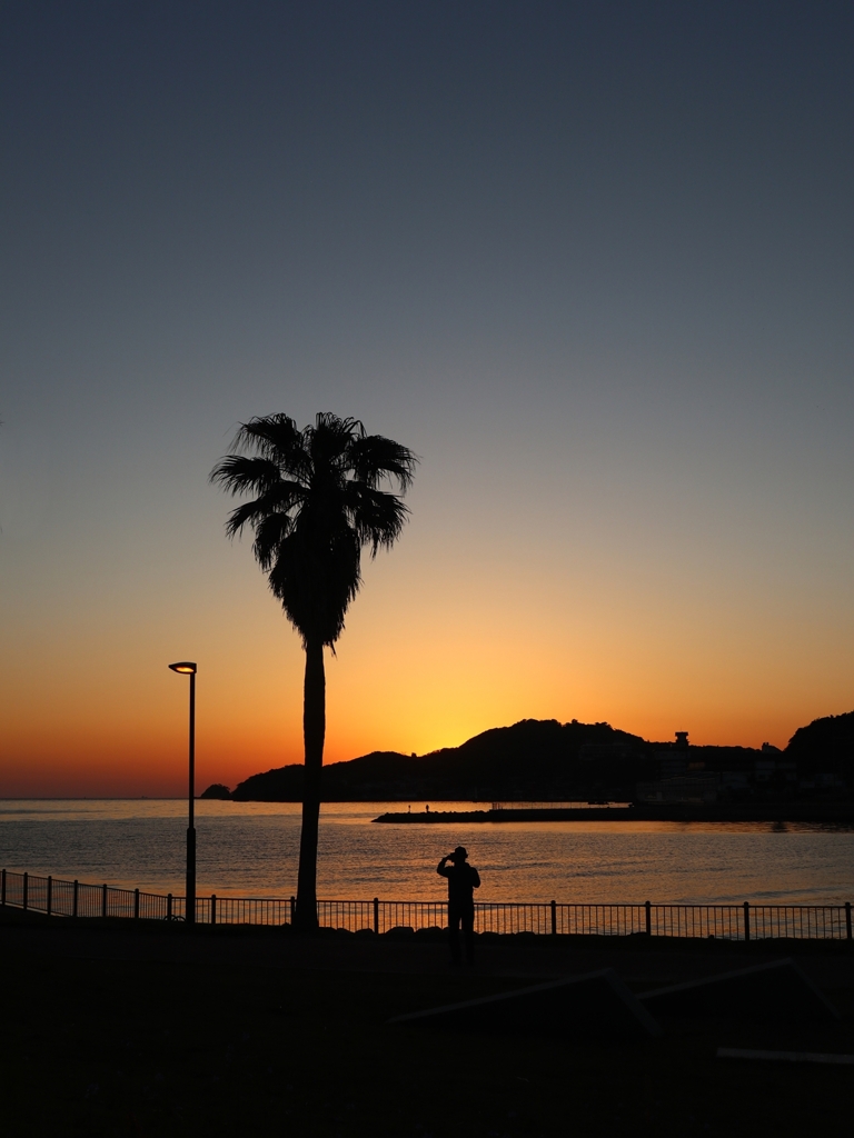 Did you get a good photo？