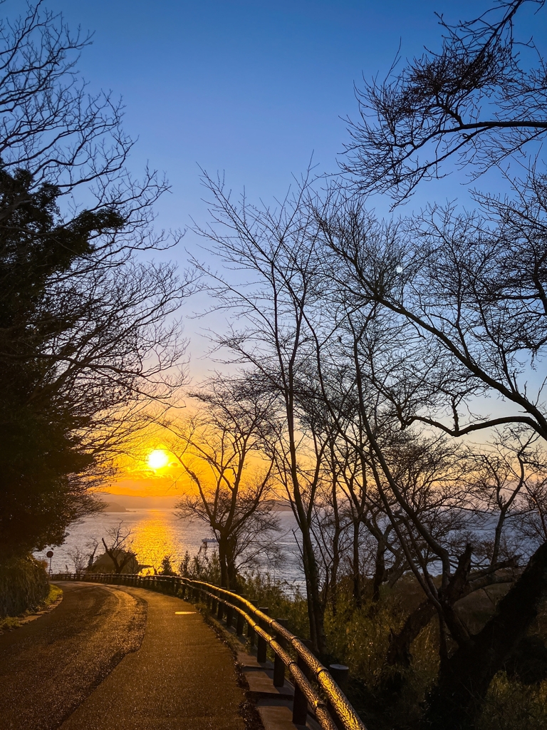 帰路で出会った夕陽