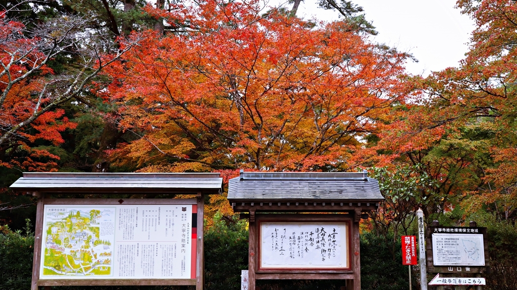 瑞雲萬歳山大寧護国禅寺