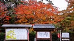 瑞雲萬歳山大寧護国禅寺