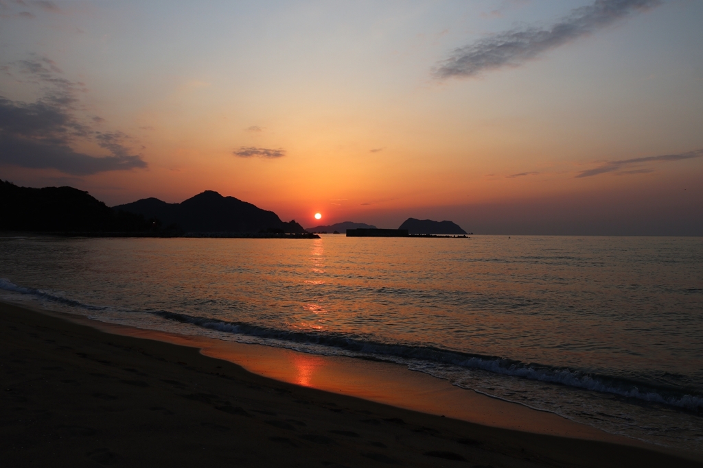 柳の下の三匹目