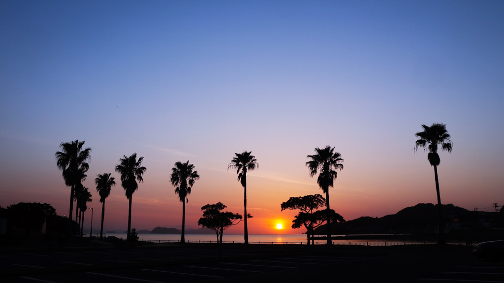 駐車場からの眺め