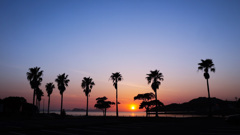 駐車場からの眺め