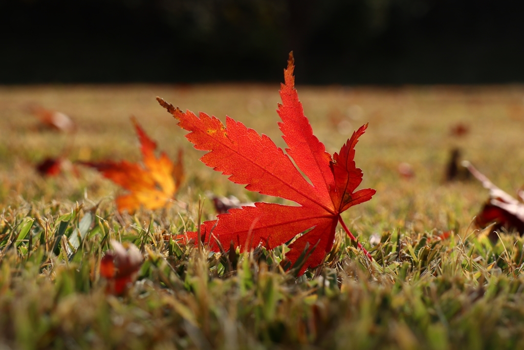 好きなアングル