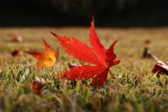 好きなアングル