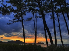 松林越しの日没後