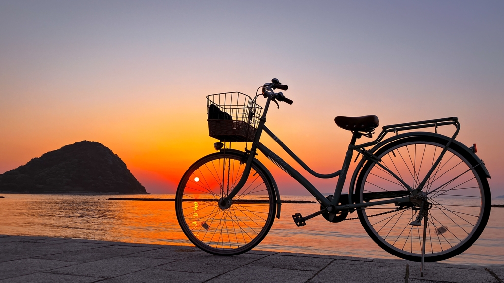 フォトジェニックな自転車