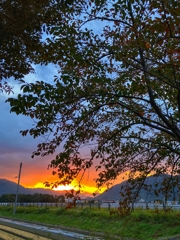 今朝の寄り道Ver.1