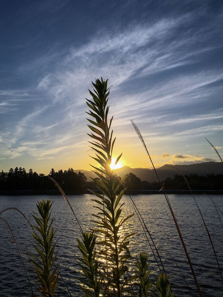 セミシルエット