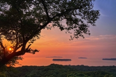 今日の寄り道.その4