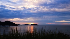 草むらからの夕景
