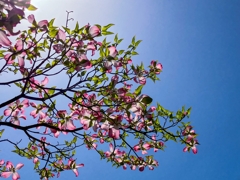 ゆく季節を惜しんで.2