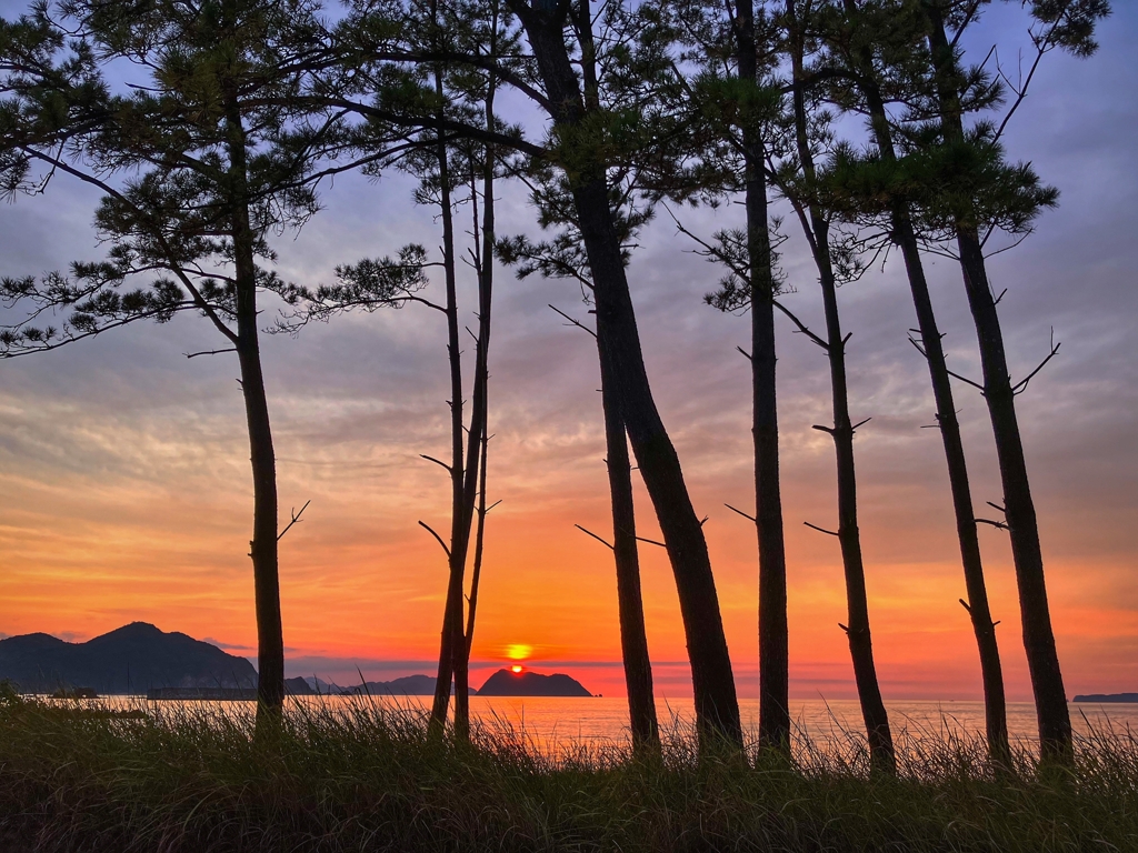 今日はよく焼けました.2
