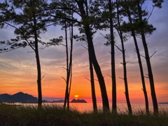 今日はよく焼けました.2