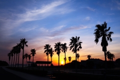 Phoenix in the evening