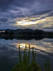 今朝の河口付近.2