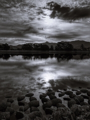 Monochrome