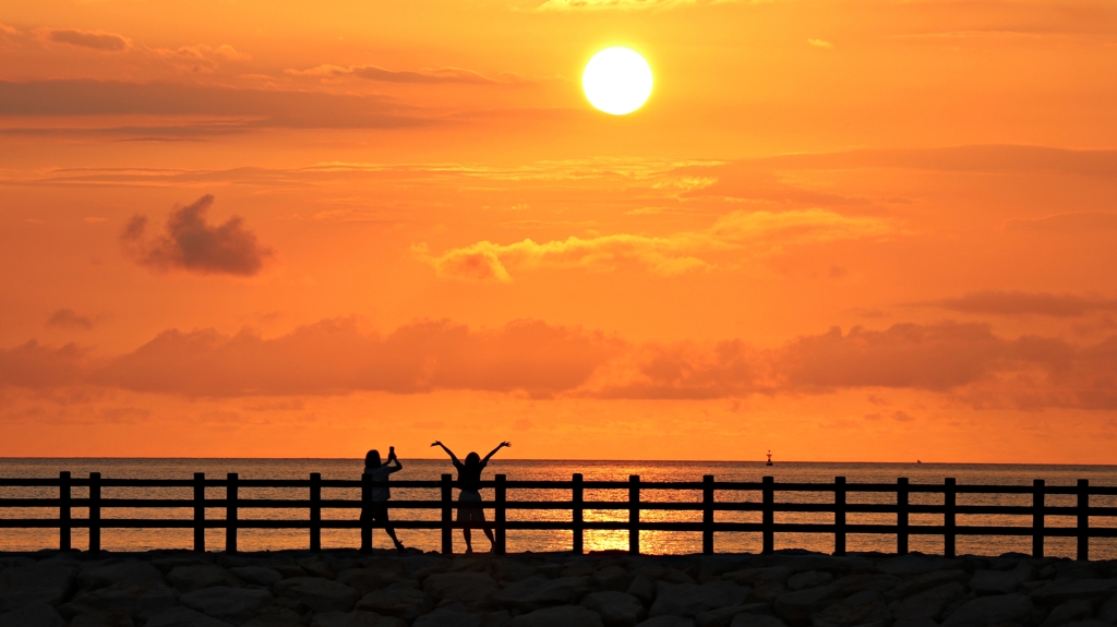 いろんな楽しみ方