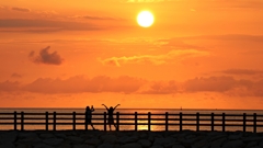 いろんな楽しみ方