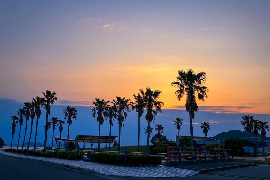 いつものフェニックス