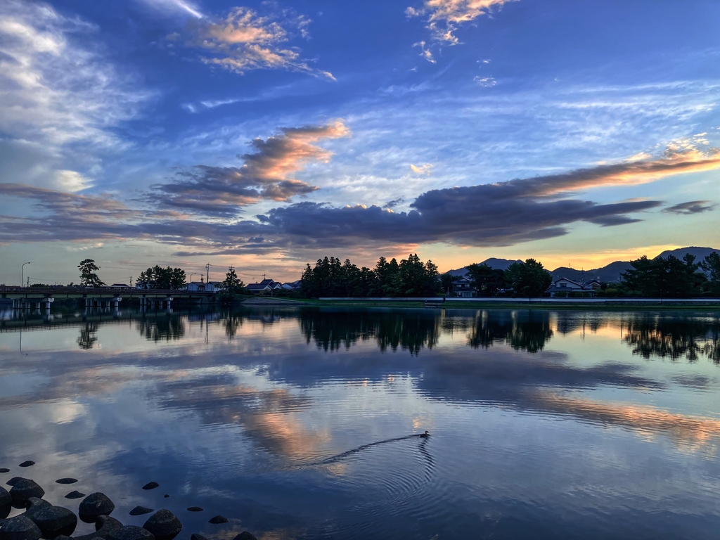 今朝の土手では・・・