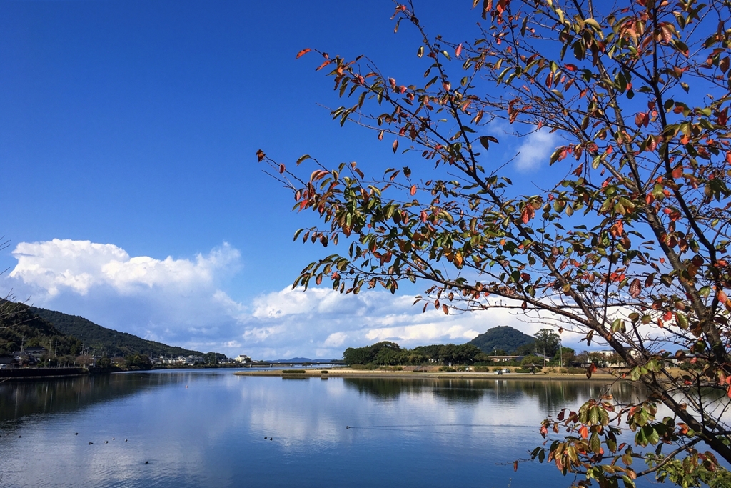 河口付近の秋景色