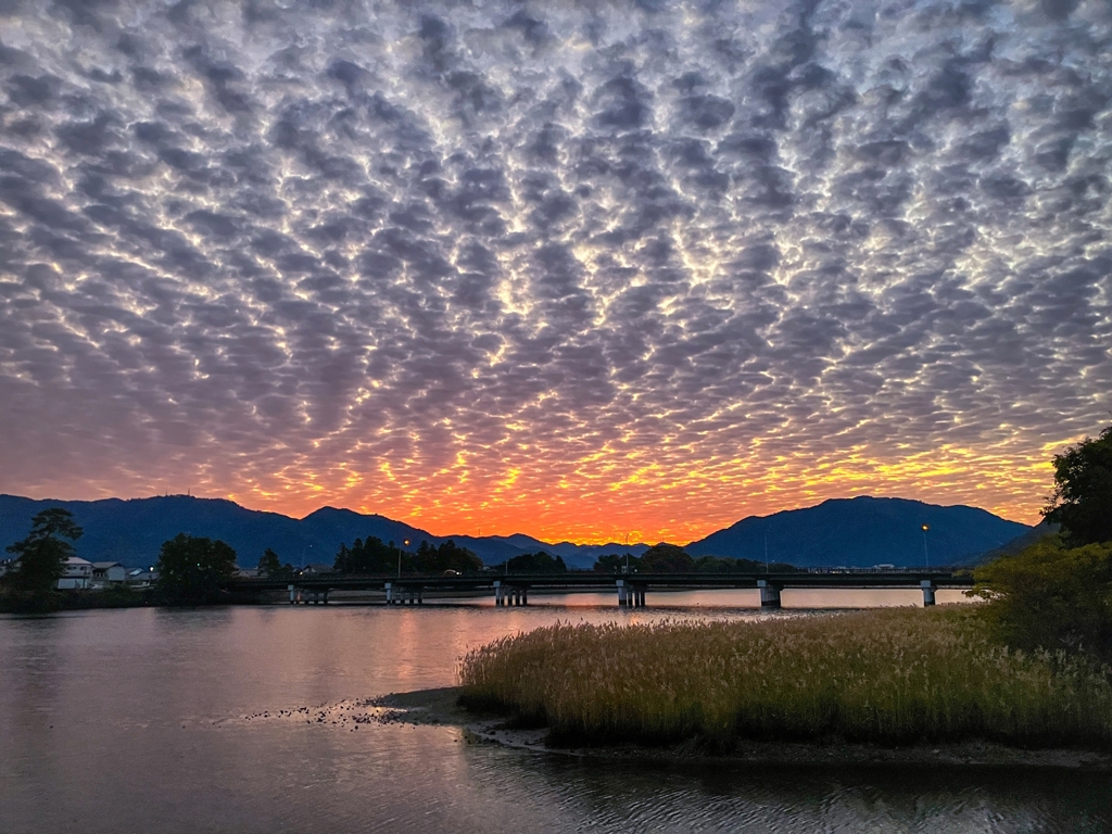 今朝の寄り道.1