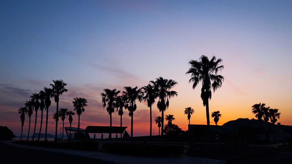 入り江の夕景.4