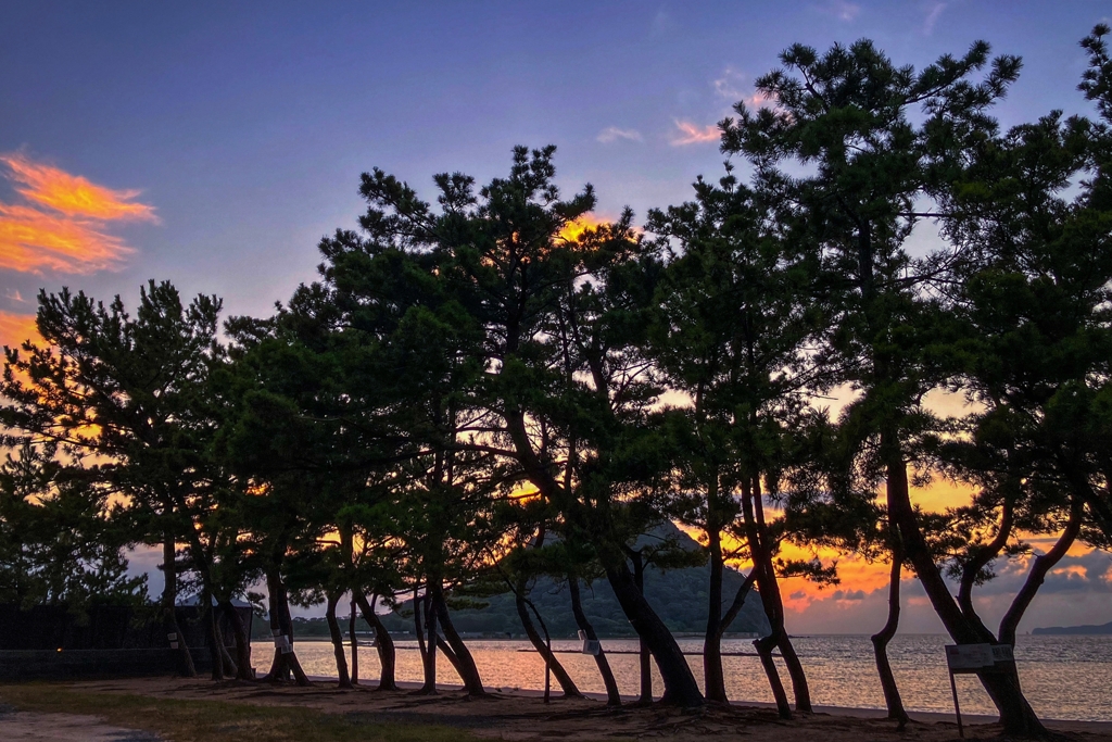 いつもの日没後.2