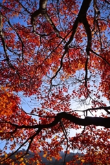 この角度、気に入りました