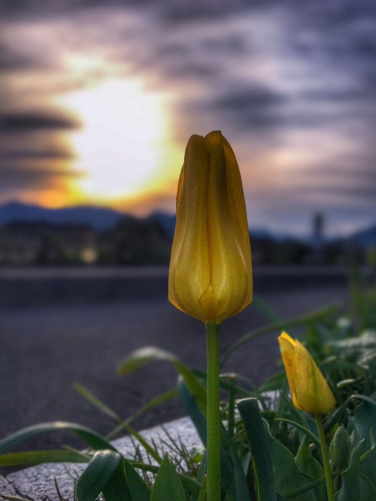 自分流の撮り方