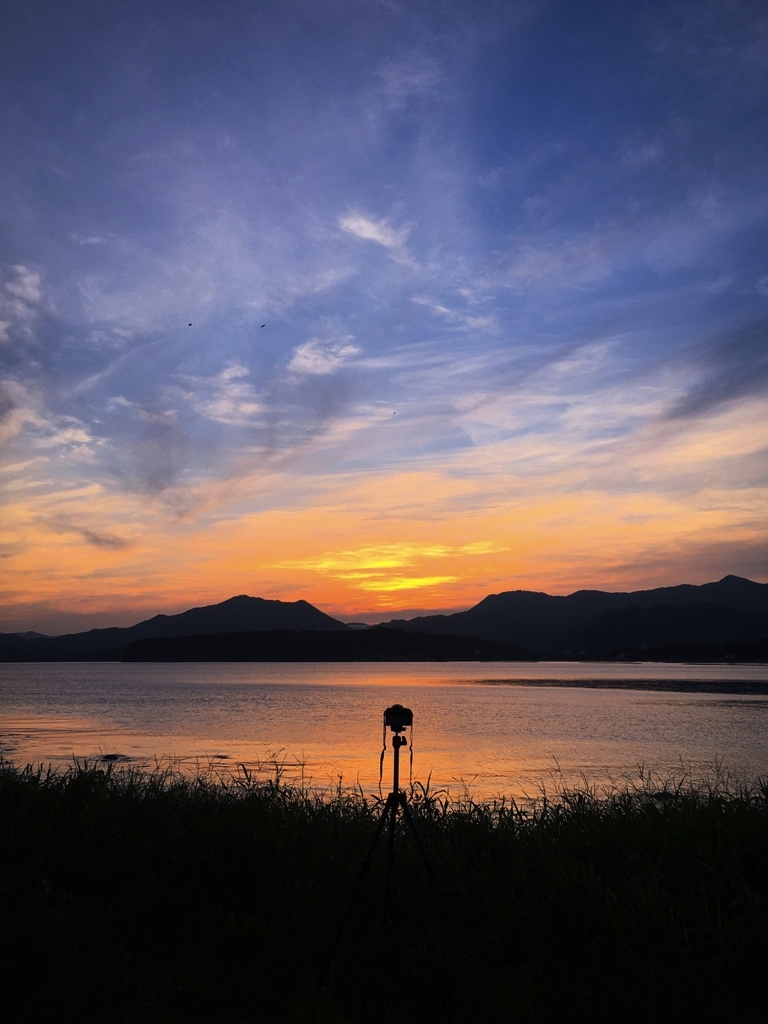 Hobbies are necessary for life