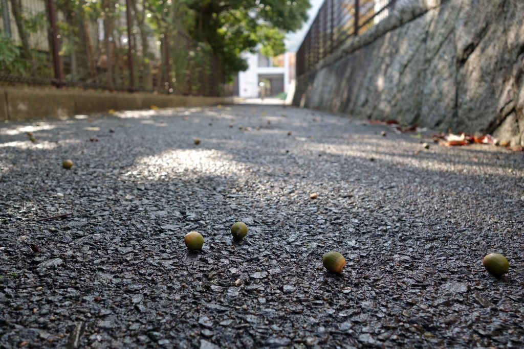 落ちる場所を間違えた連中
