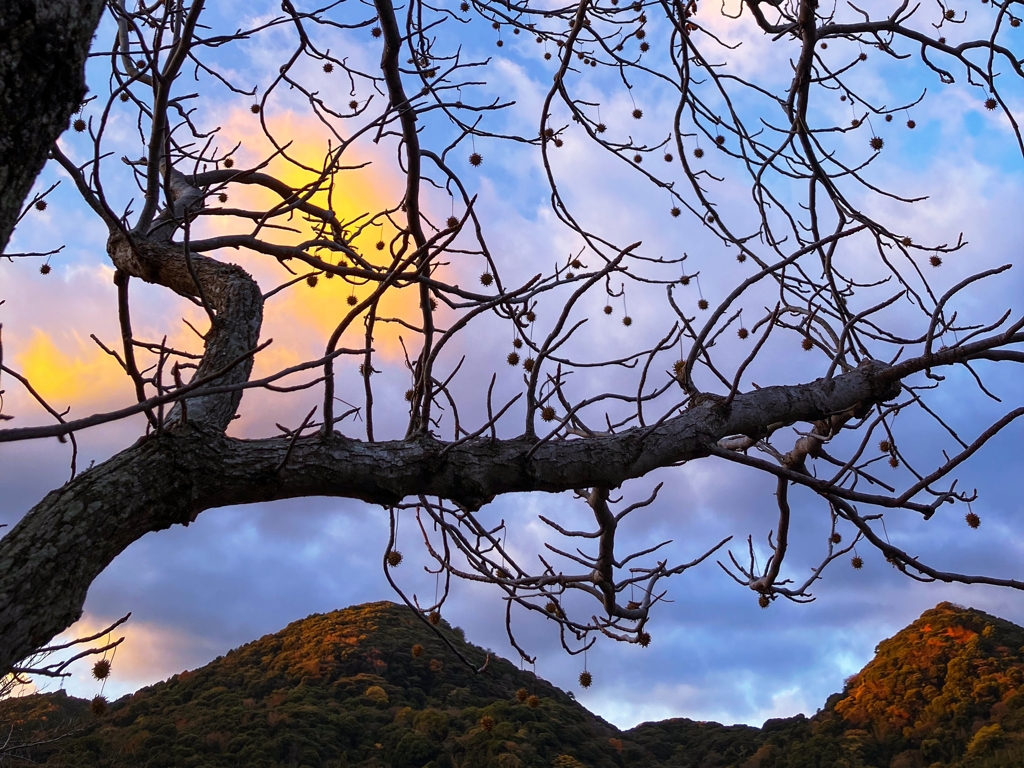 クリスマス・オーナメント？