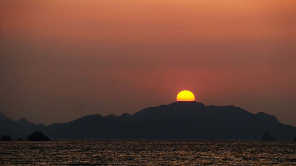 お隠れに・・。