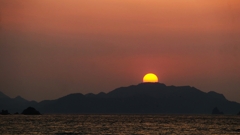 お隠れに・・。