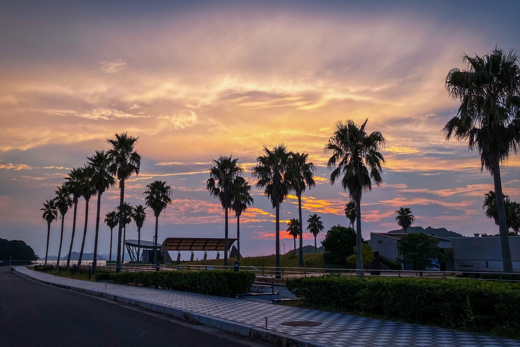 いつもの場所で