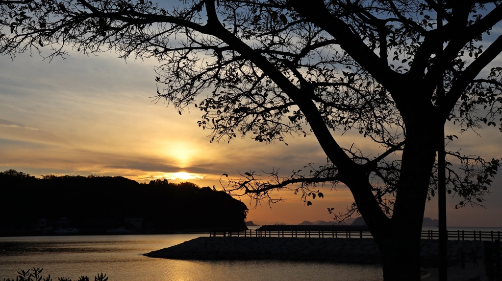 シルエット越しの夕景Ver.1