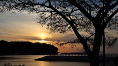 シルエット越しの夕景Ver.1