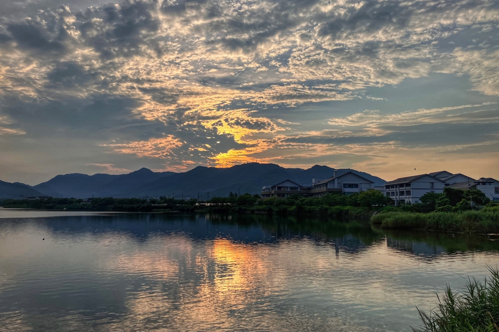 今朝の寄り道.2