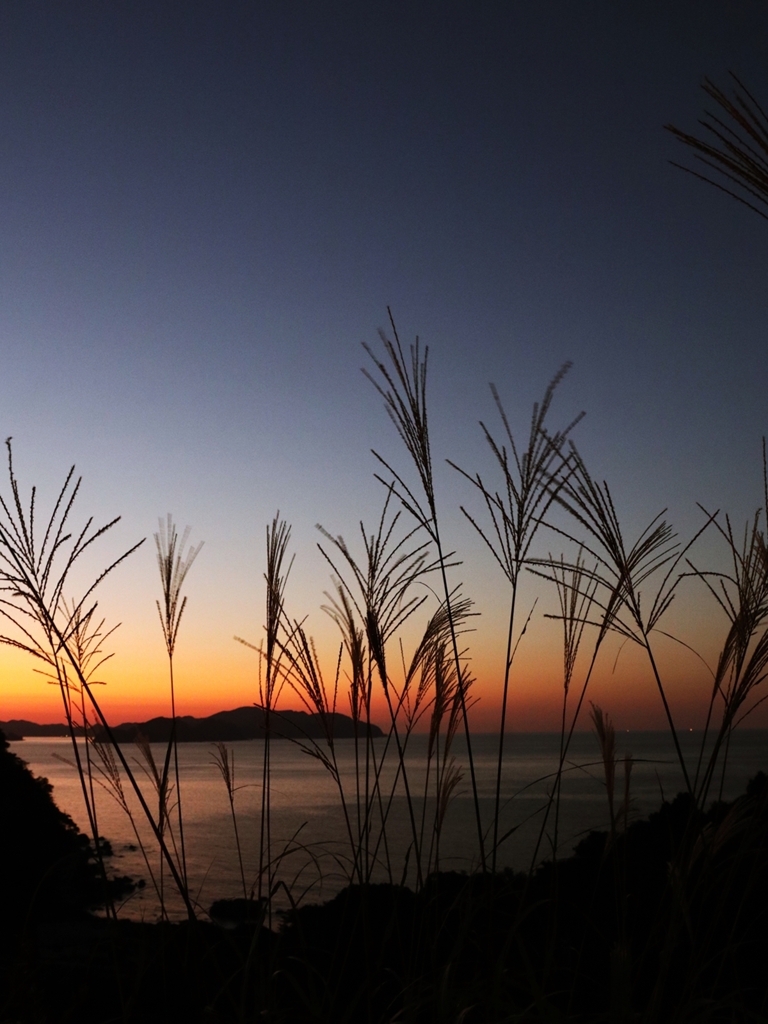 日没後のシルエット