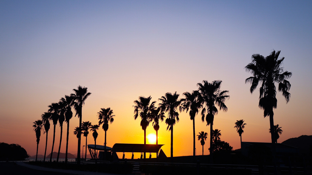 フェニックスのシルエット