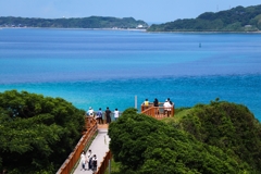 コロナ禍でも、ここは人気スポット！