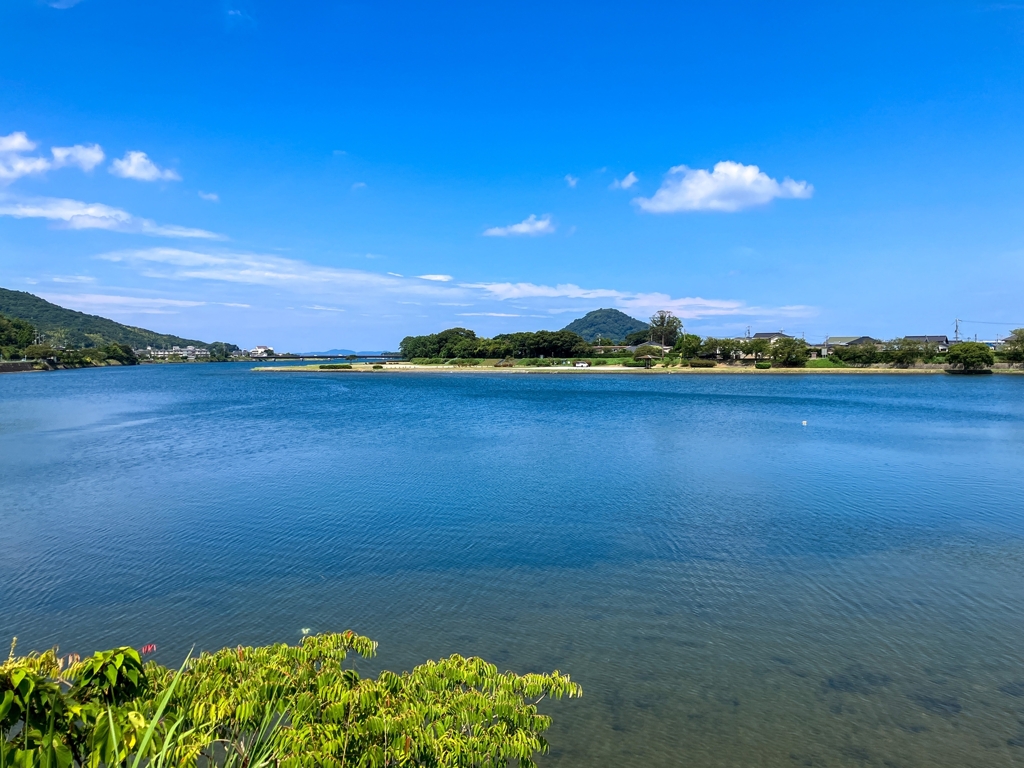 今日の河口付近