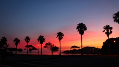 Natural colorは時に予測を超える！