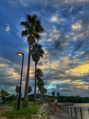 仕事帰りの寄り道.5